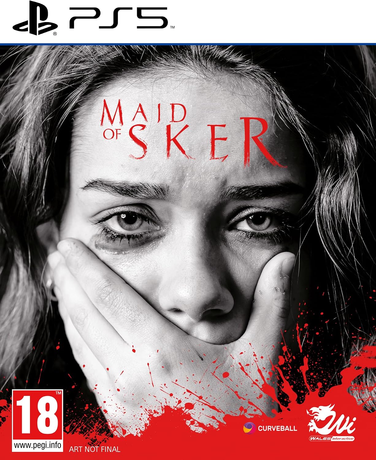 MAID OF SKER - PS5